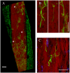 Fig 5