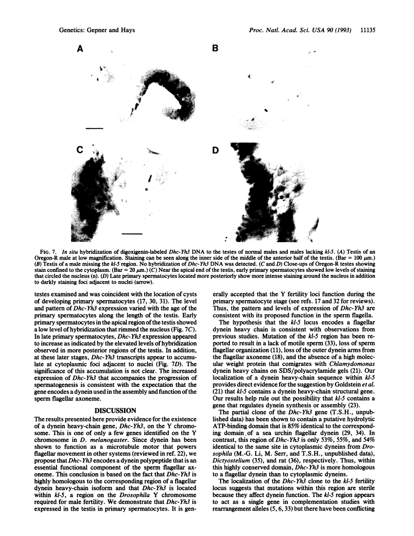 icon of scanned page 11135