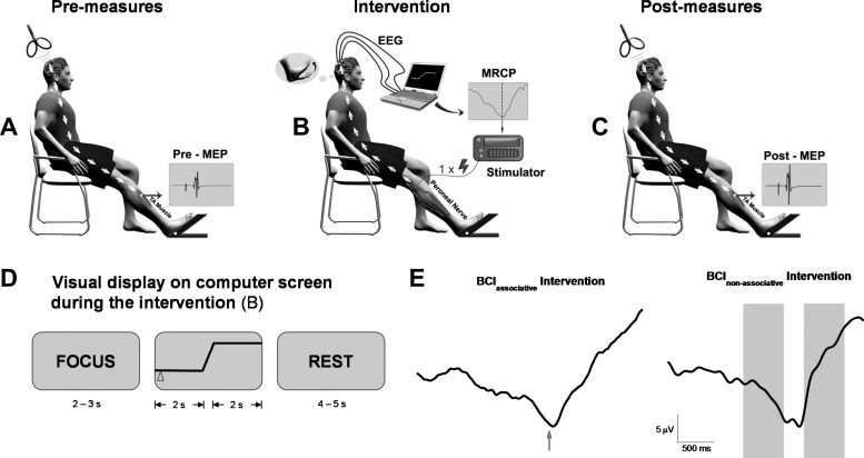 An external file that holds a picture, illustration, etc.
Object name is z9k0031635300001.jpg