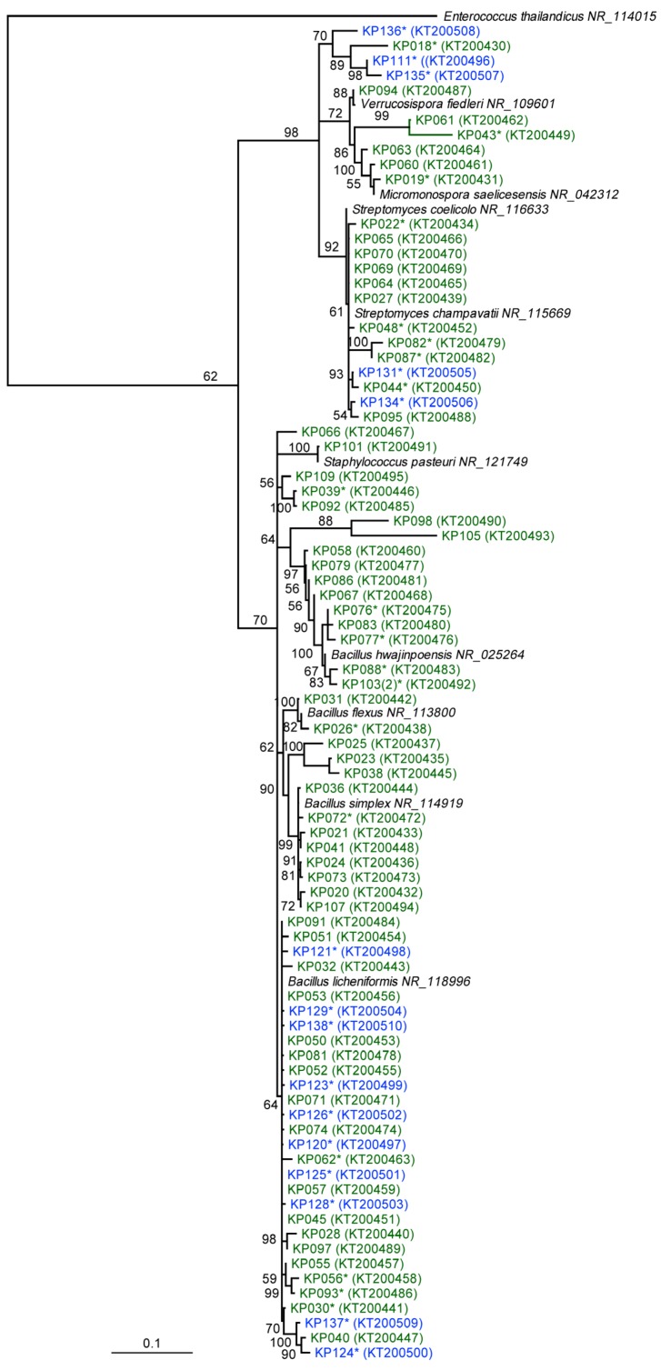 An external file that holds a picture, illustration, etc.
Object name is metabolites-06-00002-g001.jpg