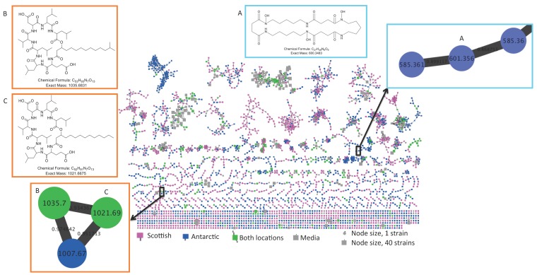 An external file that holds a picture, illustration, etc.
Object name is metabolites-06-00002-g002.jpg