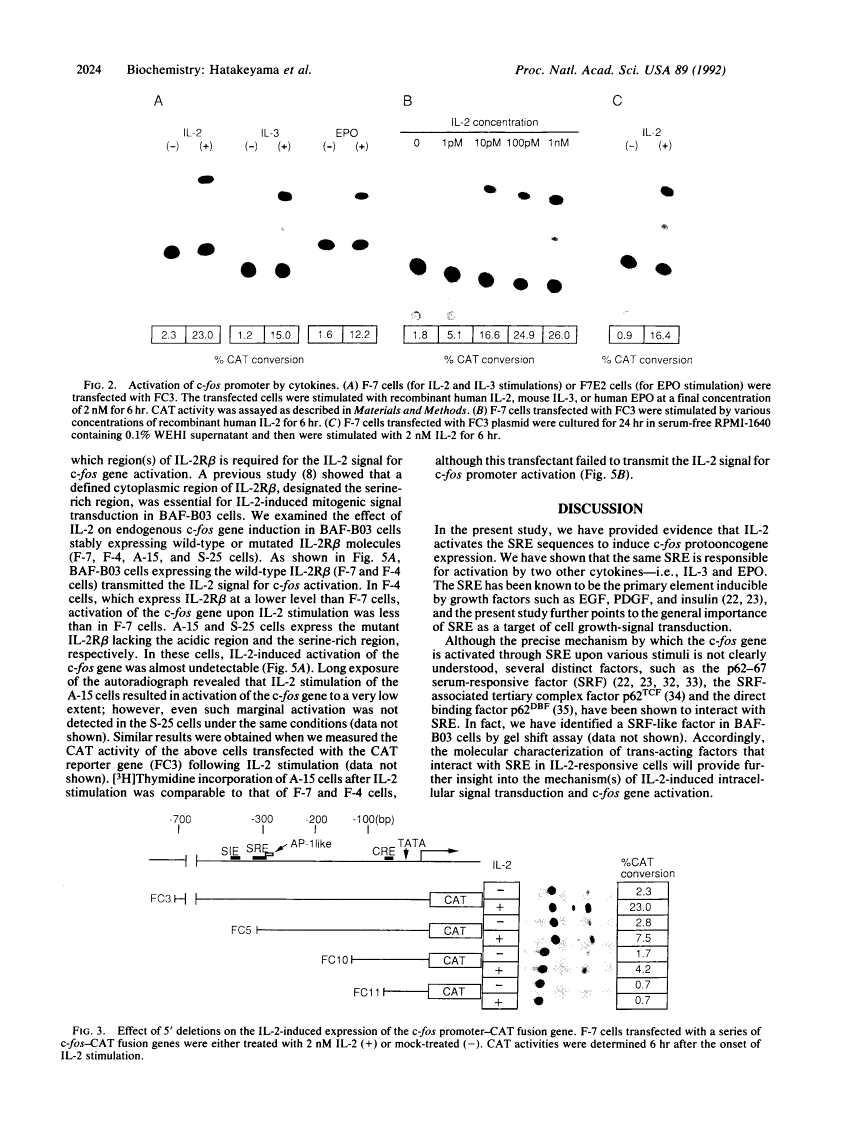 icon of scanned page 2024