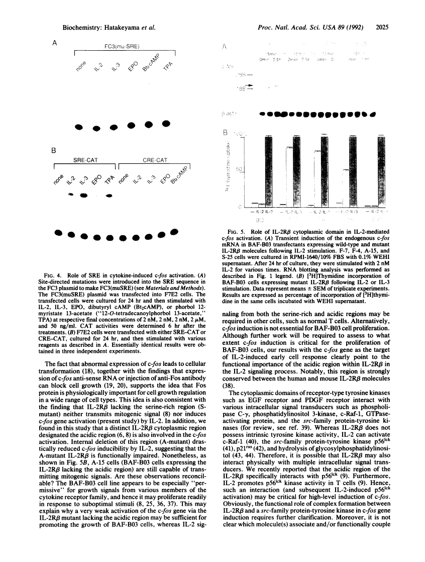 icon of scanned page 2025