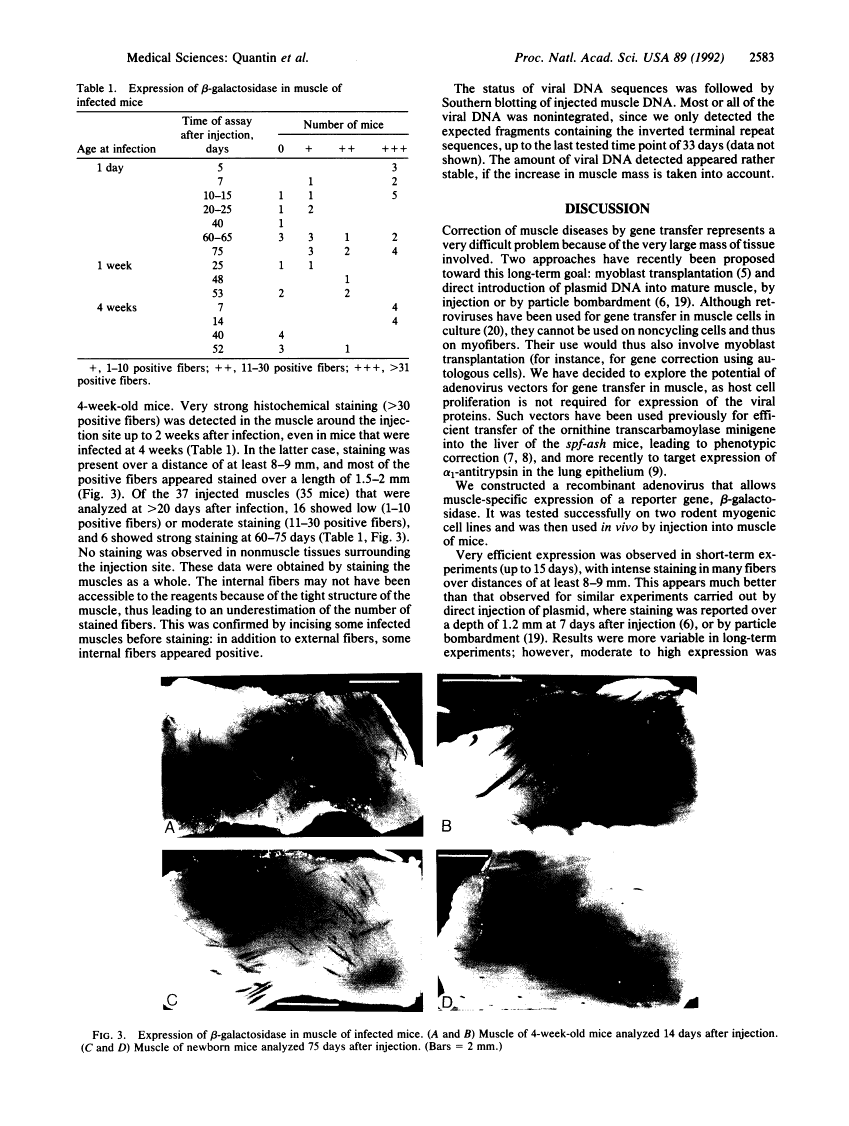 icon of scanned page 2583