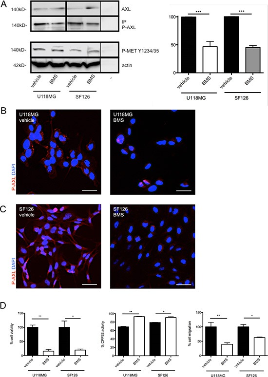 An external file that holds a picture, illustration, etc.
Object name is oncotarget-07-09876-g002.jpg