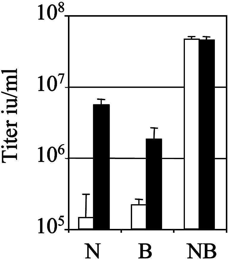 An external file that holds a picture, illustration, etc.
Object name is zpq0290454350004.jpg