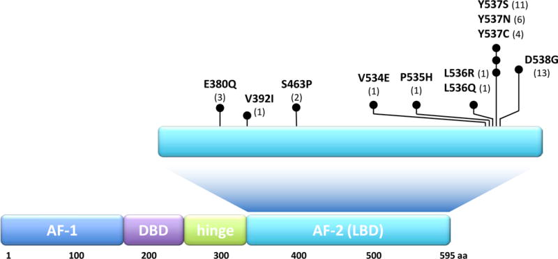 An external file that holds a picture, illustration, etc.
Object name is nihms784251f2.jpg