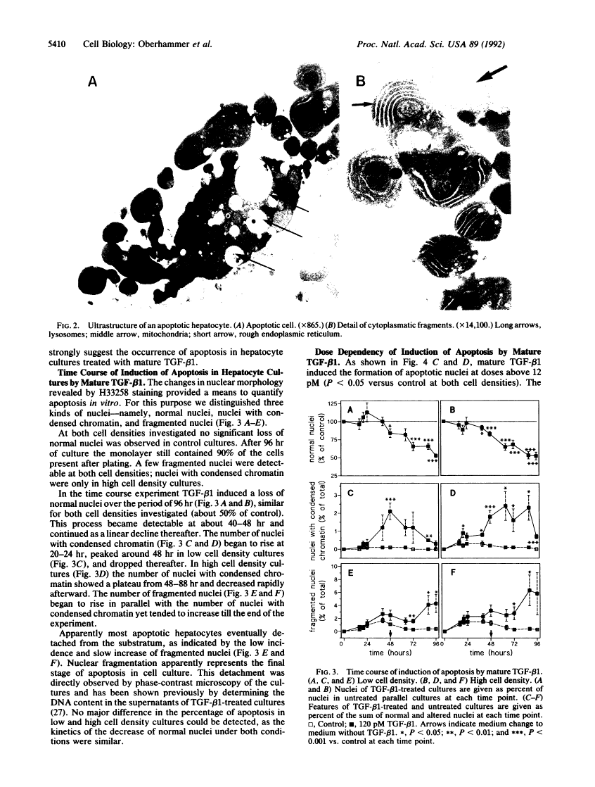 icon of scanned page 5410