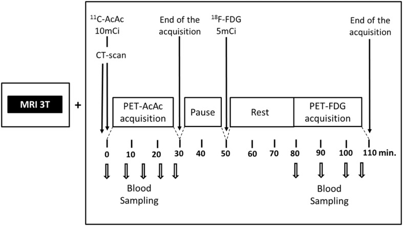 An external file that holds a picture, illustration, etc.
Object name is fnmol-09-00053-g008.jpg