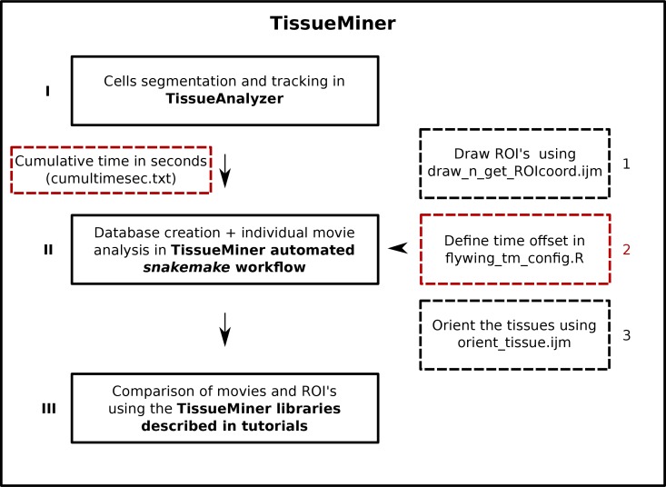 An external file that holds a picture, illustration, etc.
Object name is elife-14334-fig1-figsupp1.jpg