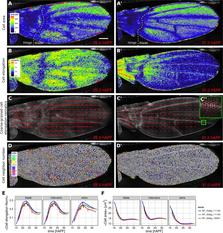 An external file that holds a picture, illustration, etc.
Object name is elife-14334-fig2.jpg