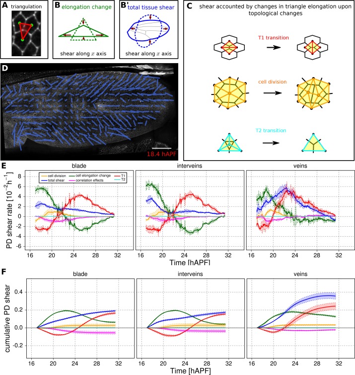 An external file that holds a picture, illustration, etc.
Object name is elife-14334-fig5.jpg