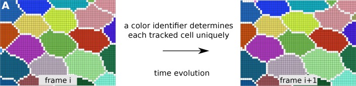 An external file that holds a picture, illustration, etc.
Object name is elife-14334-fig6-figsupp1.jpg