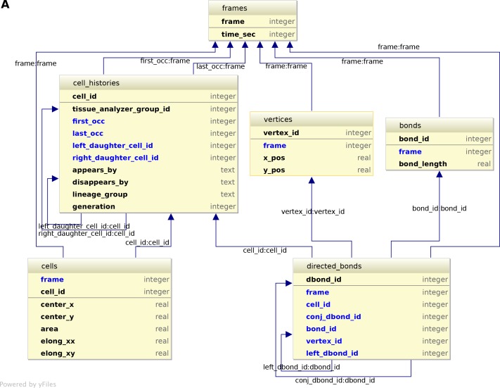 An external file that holds a picture, illustration, etc.
Object name is elife-14334-fig6-figsupp2.jpg