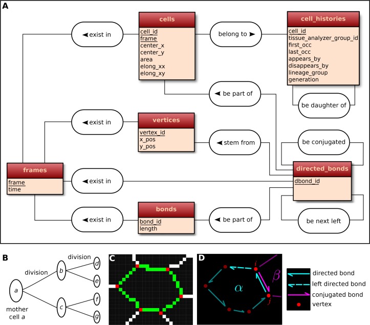 An external file that holds a picture, illustration, etc.
Object name is elife-14334-fig6.jpg