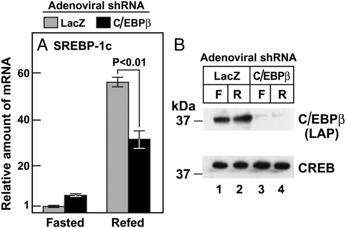 An external file that holds a picture, illustration, etc.
Object name is pnas.1608987113fig05.jpg