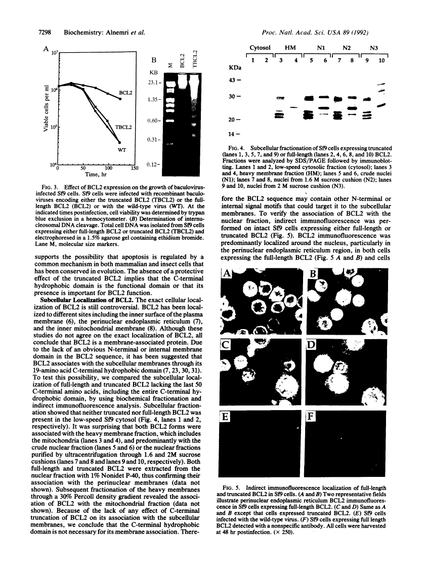 icon of scanned page 7298