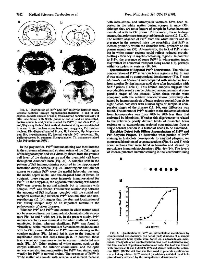 icon of scanned page 7622