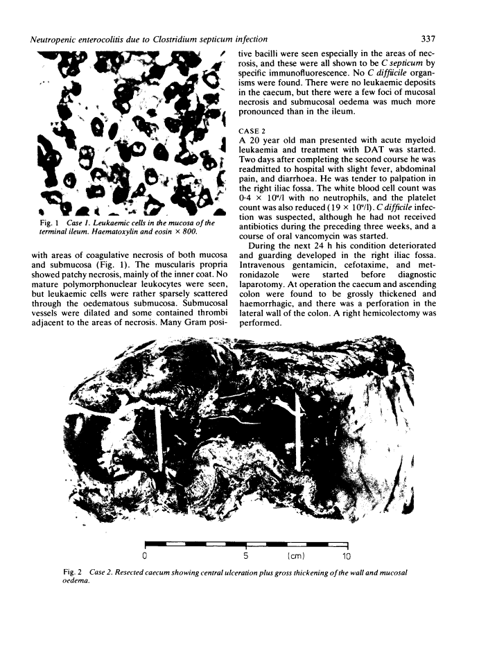 icon of scanned page 337