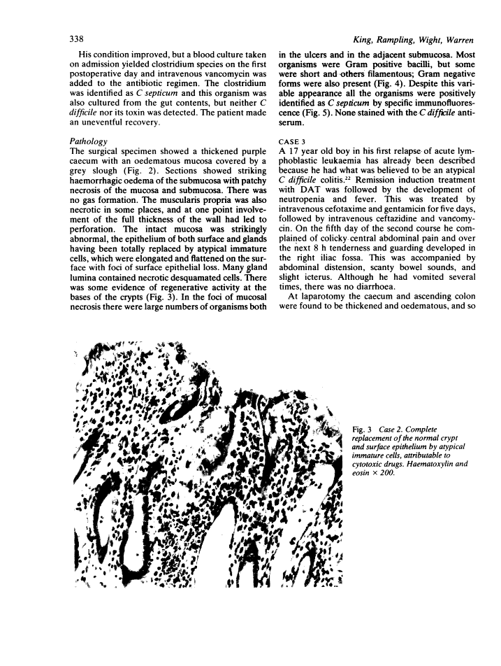 icon of scanned page 338