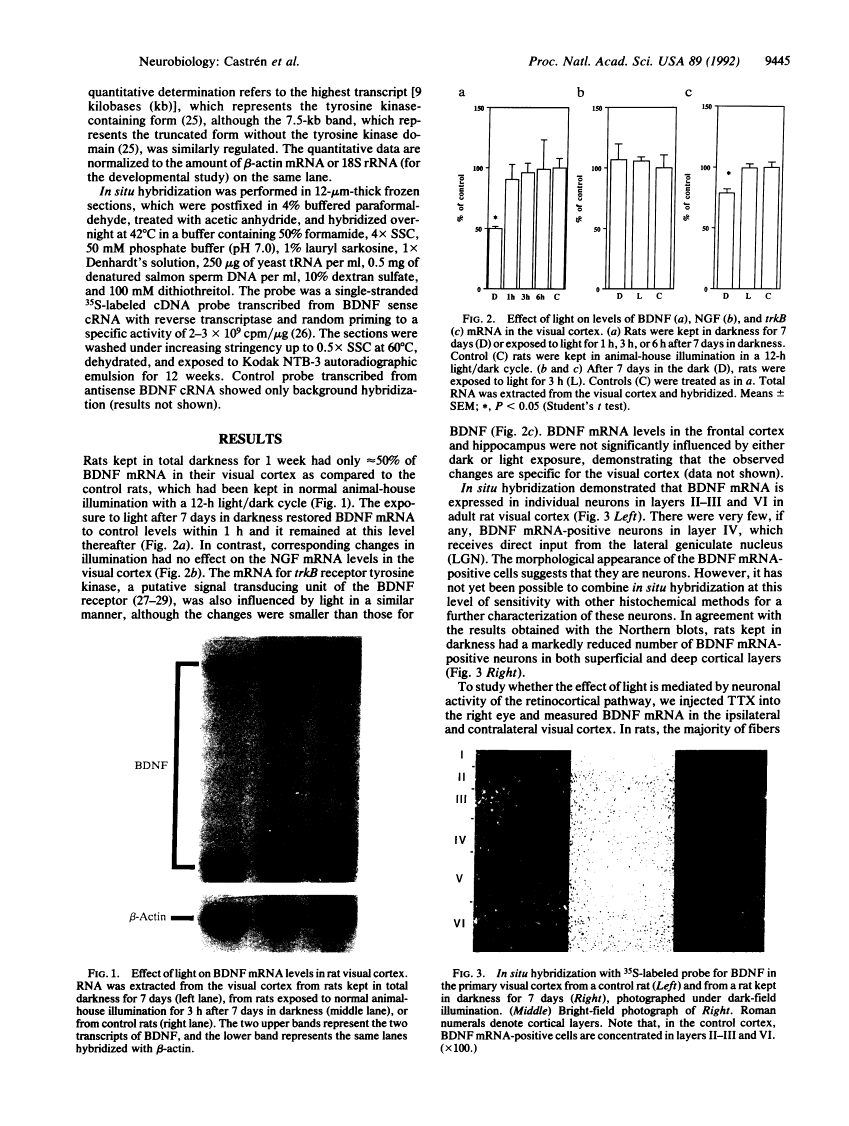 icon of scanned page 9445