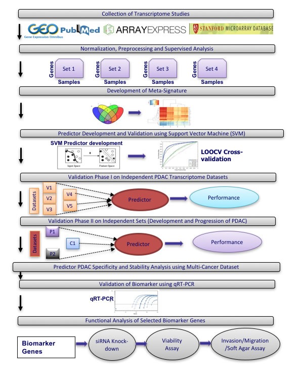 An external file that holds a picture, illustration, etc.
Object name is oncotarget-07-23263-g001.jpg