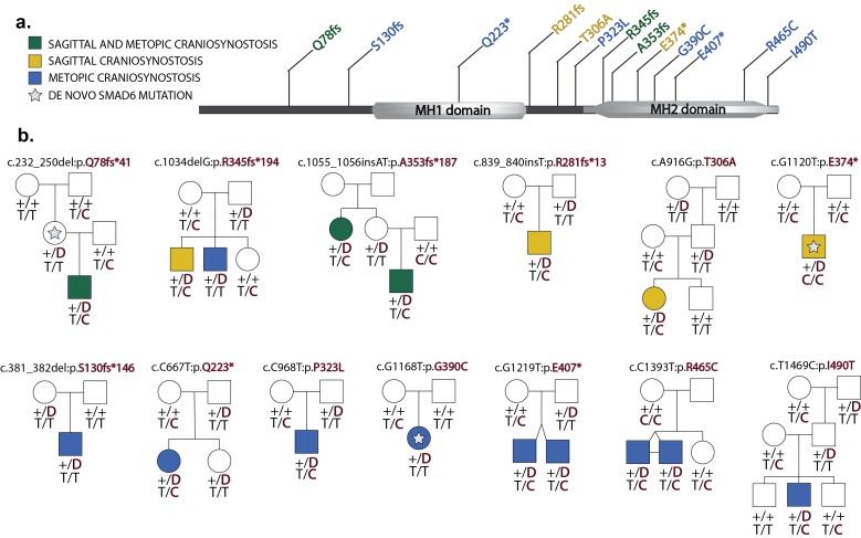 An external file that holds a picture, illustration, etc.
Object name is elife-20125-fig2.jpg