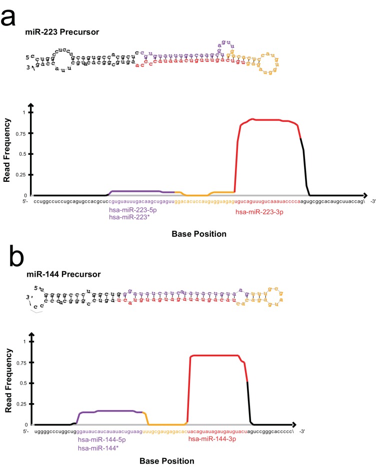 An external file that holds a picture, illustration, etc.
Object name is elife-19276-fig2-figsupp1.jpg