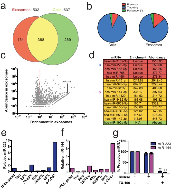 An external file that holds a picture, illustration, etc.
Object name is elife-19276-fig2.jpg