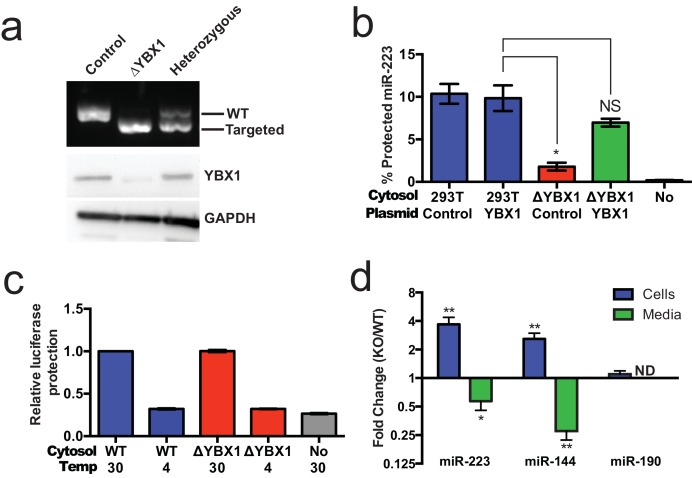 An external file that holds a picture, illustration, etc.
Object name is elife-19276-fig7.jpg