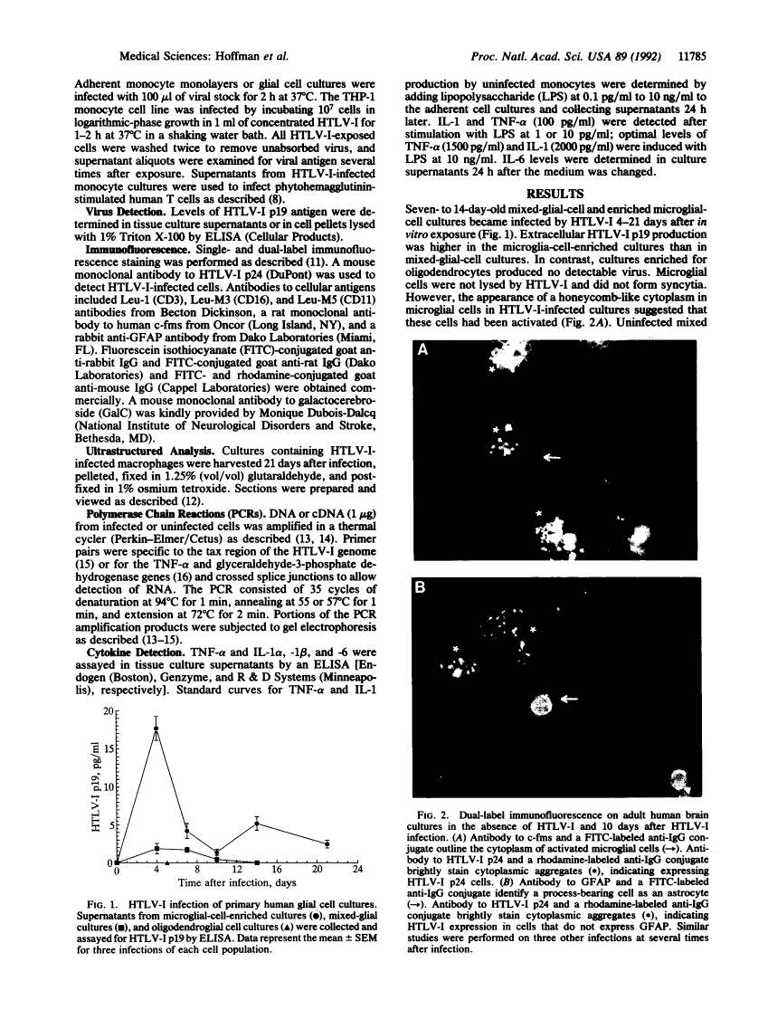 icon of scanned page 11785