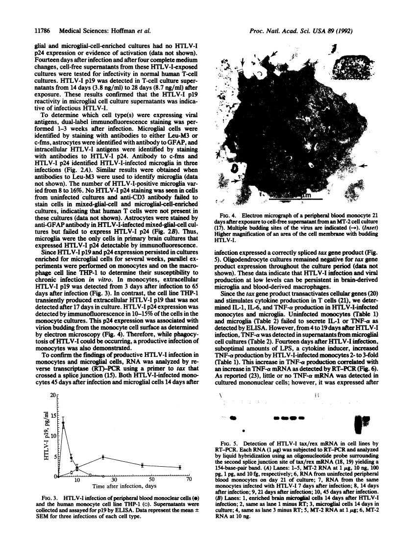 icon of scanned page 11786