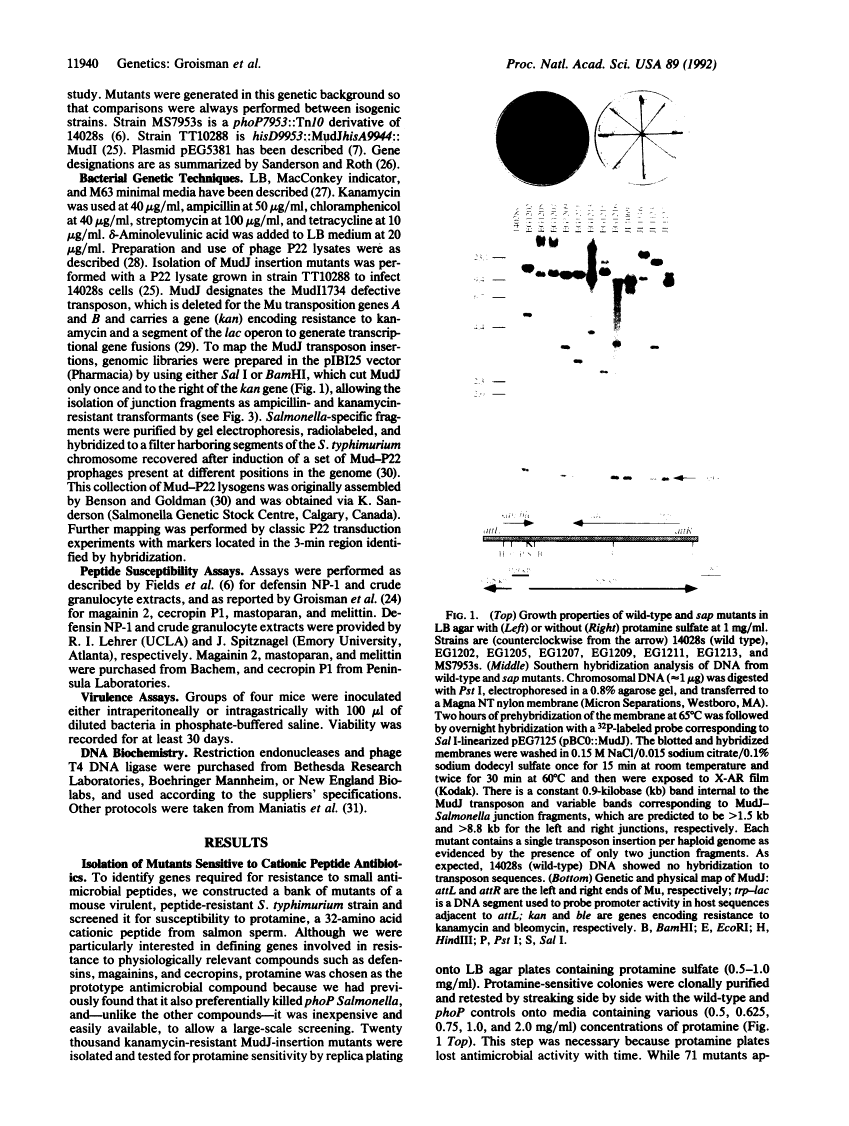 icon of scanned page 11940