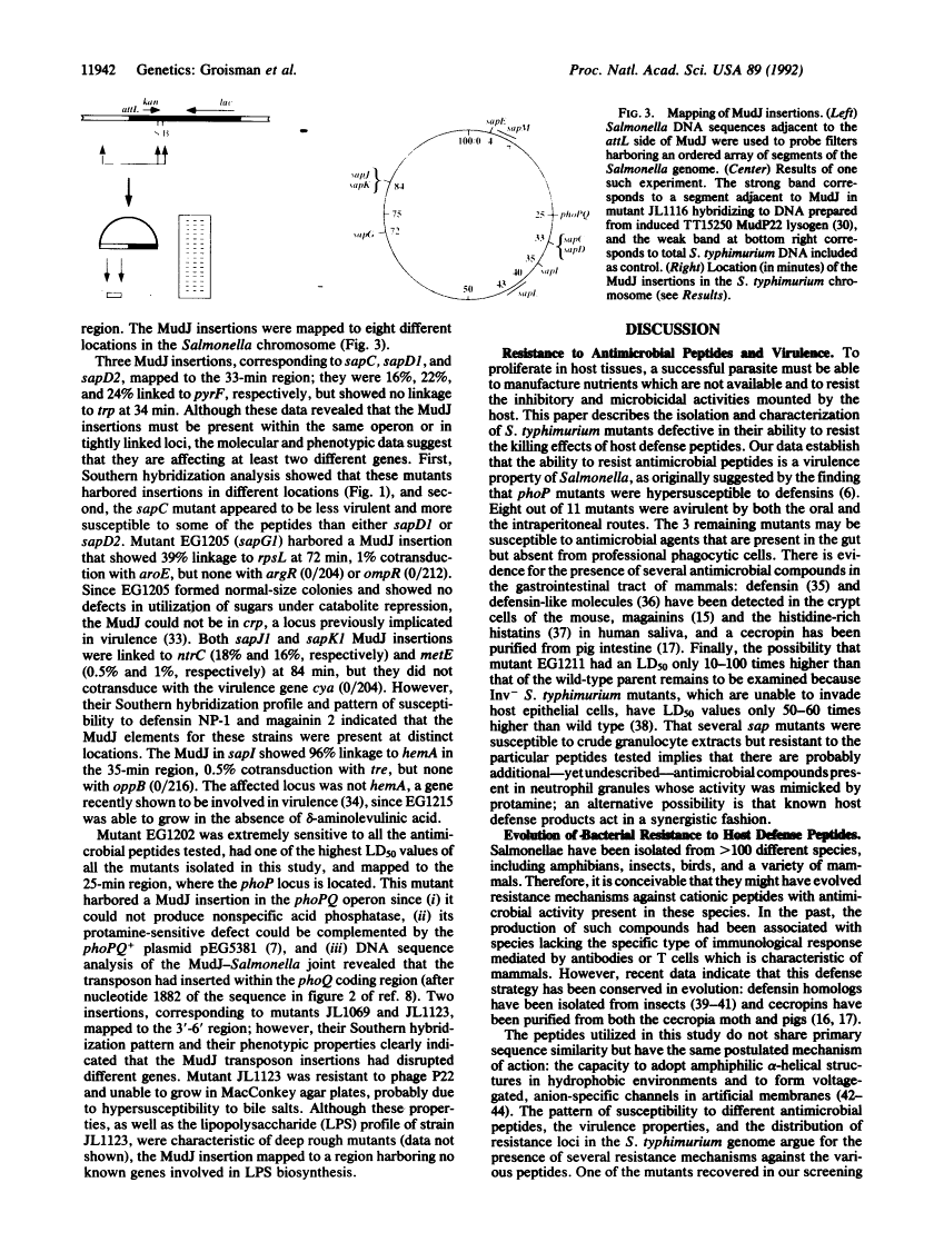 icon of scanned page 11942