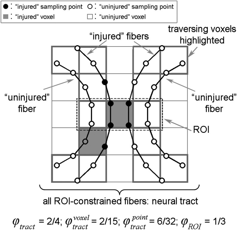 An external file that holds a picture, illustration, etc.
Object name is fig-5.jpg