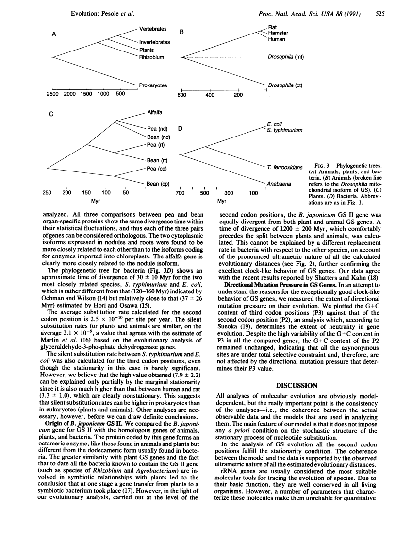 icon of scanned page 525