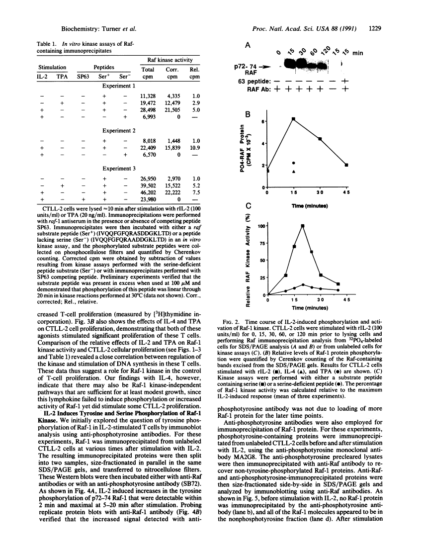 icon of scanned page 1229