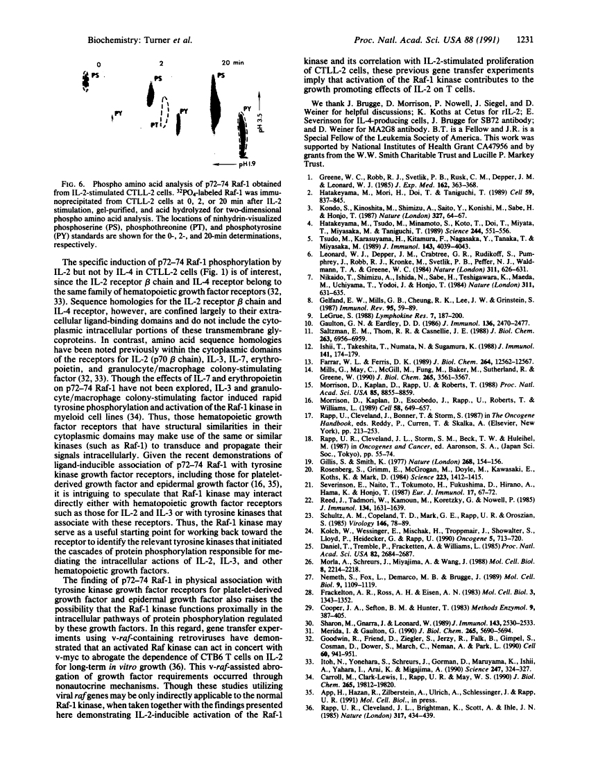 icon of scanned page 1231