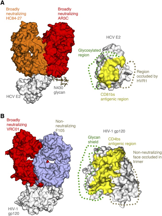 An external file that holds a picture, illustration, etc.
Object name is pnas.1609780113sfig01.jpg