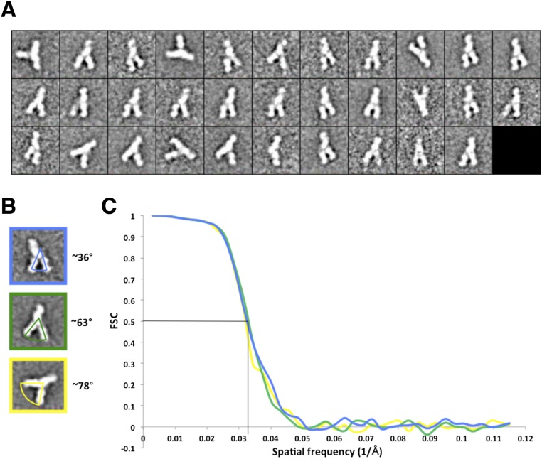 An external file that holds a picture, illustration, etc.
Object name is pnas.1609780113sfig03.jpg