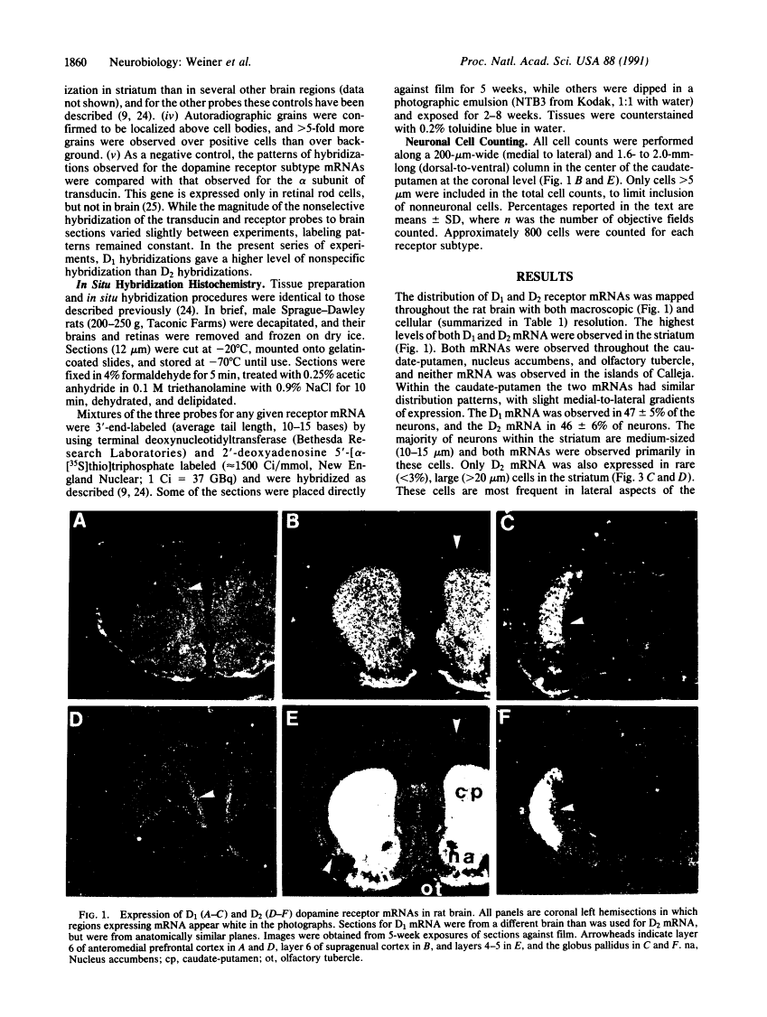 icon of scanned page 1860