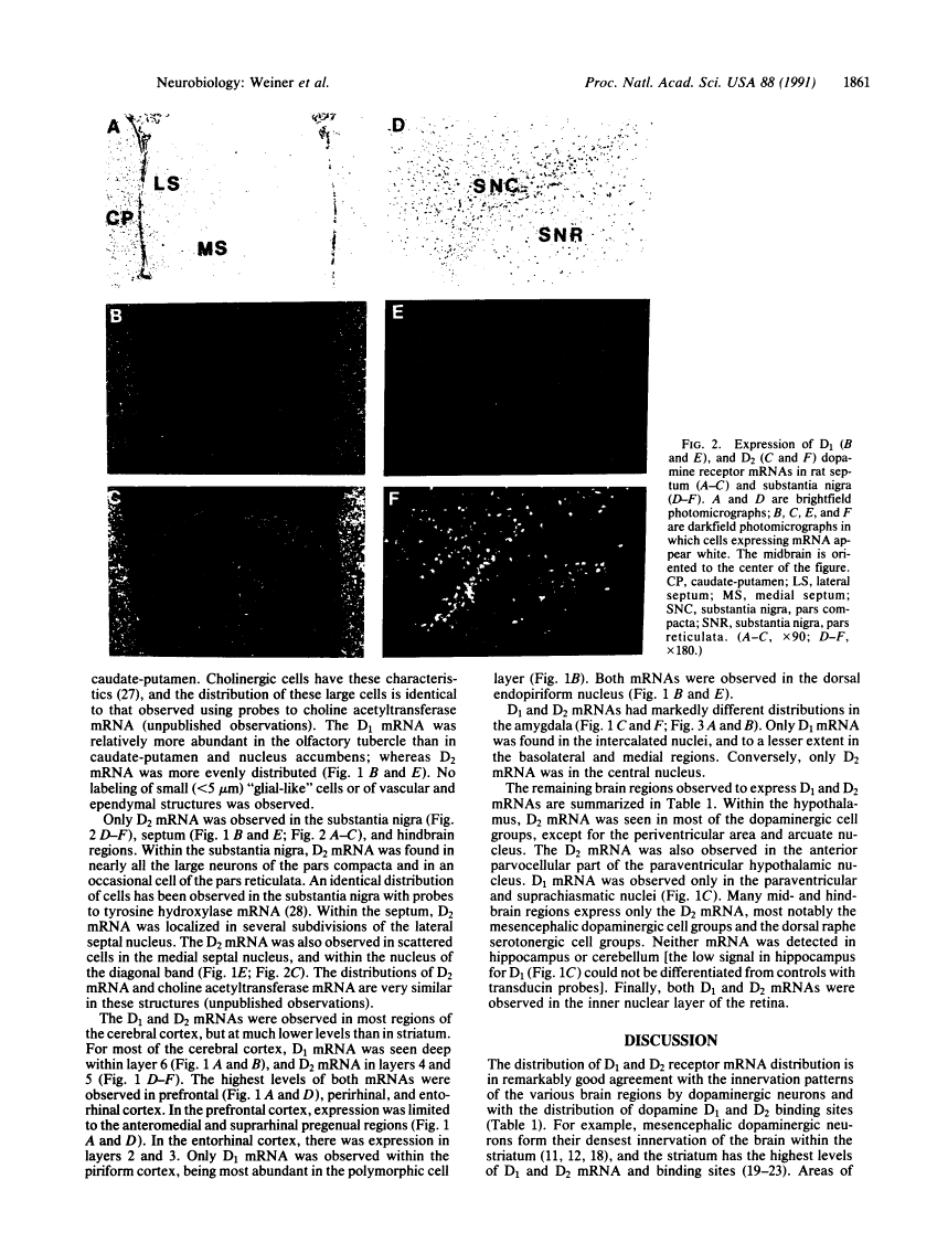 icon of scanned page 1861