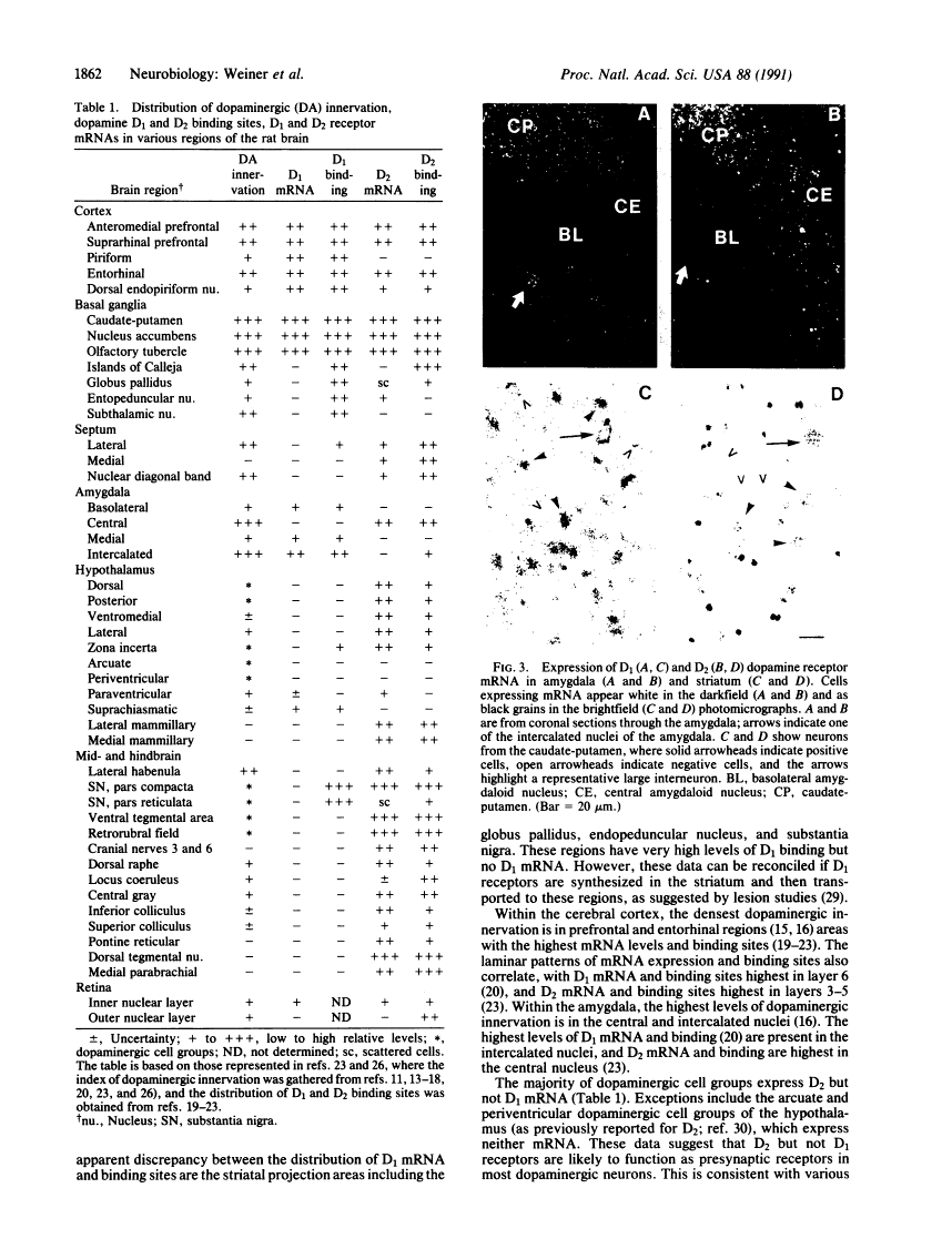 icon of scanned page 1862