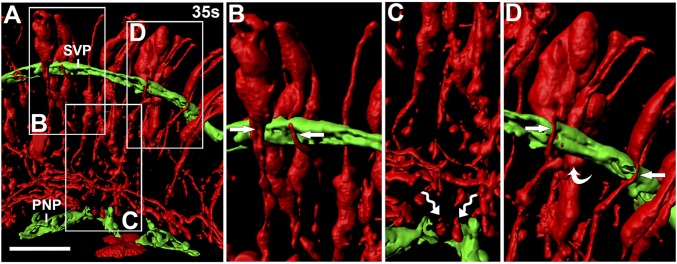 An external file that holds a picture, illustration, etc.
Object name is pnas.1613113113fig03.jpg