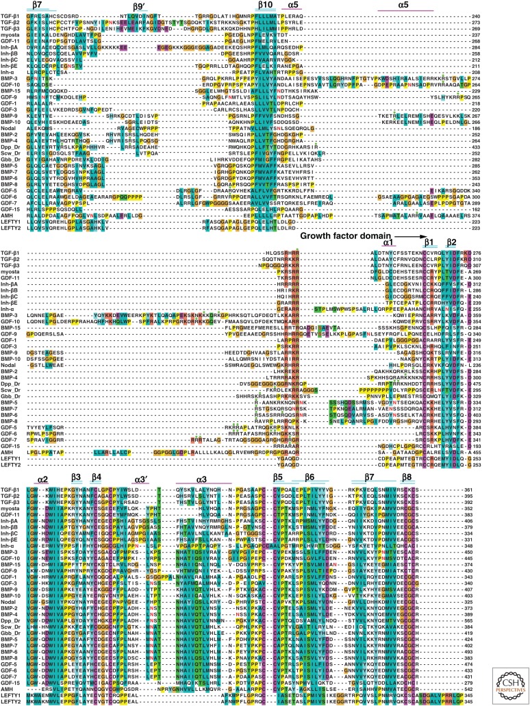 An external file that holds a picture, illustration, etc.
Object name is cshperspect-TGF-022103_F1b.jpg