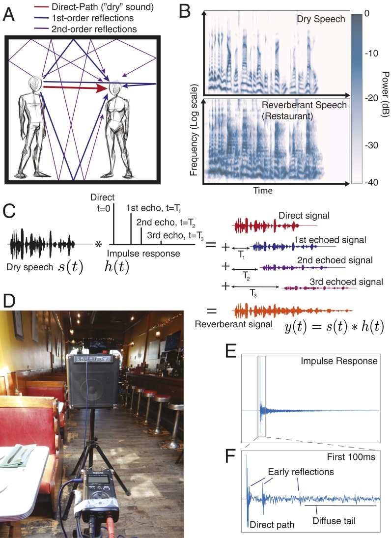 An external file that holds a picture, illustration, etc.
Object name is pnas.1612524113fig01.jpg