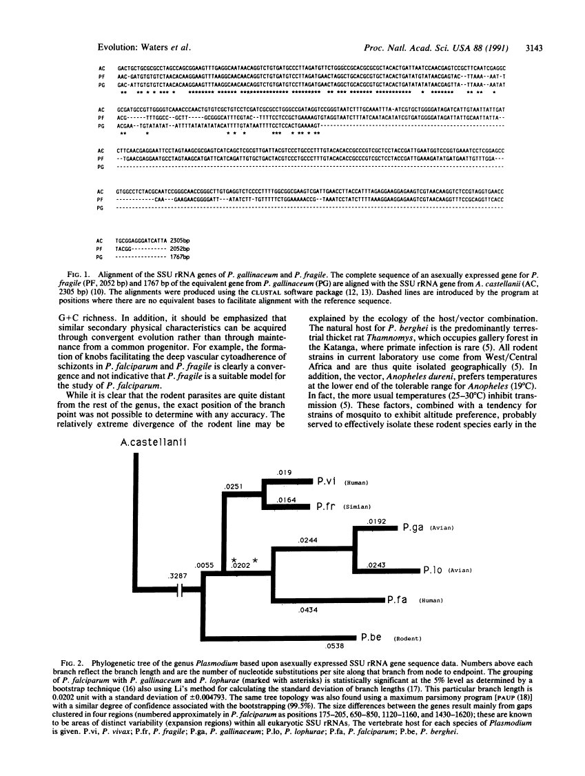 icon of scanned page 3143