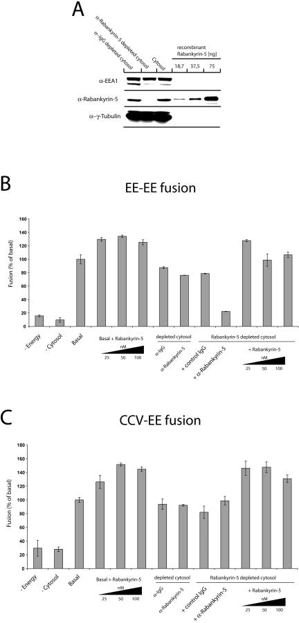 An external file that holds a picture, illustration, etc.
Object name is pbio.0020261.g002.jpg