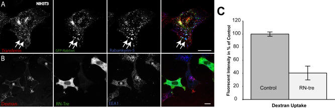 An external file that holds a picture, illustration, etc.
Object name is pbio.0020261.g006.jpg