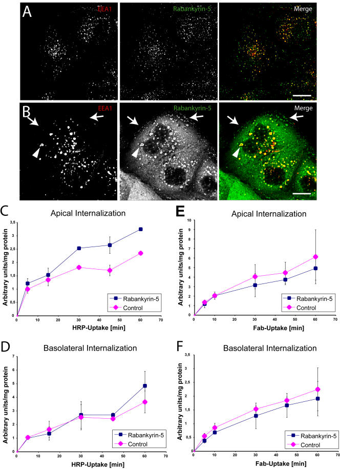 An external file that holds a picture, illustration, etc.
Object name is pbio.0020261.g011.jpg